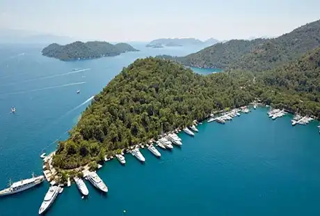 GOCEK