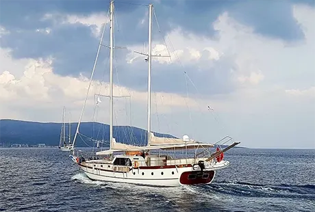 4 cabin luxury yacht elifim 11
