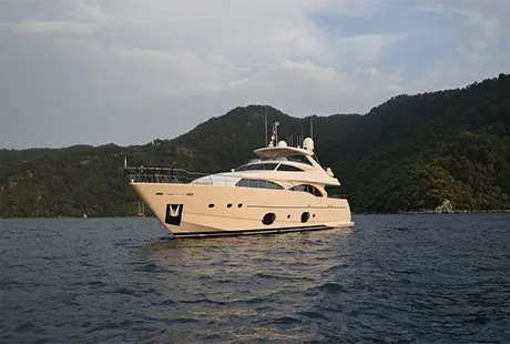 motor yacht sea lion 2 for rent 