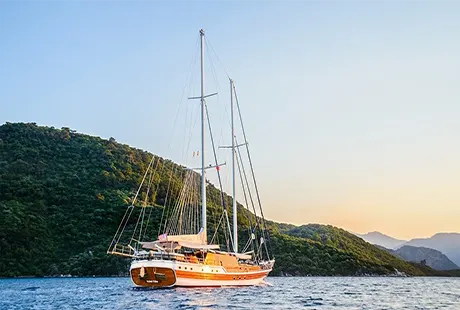 wicked felina yacht back side wide angle view